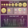 The image is a detailed chart that provides the sizes of various pendants in millimeters, ranging from 14 to 35 cm, and from 1.38 to 1.18 in. The chart also includes a chain length chart that shows the chain lengths in inches, ranging from 14 to 65 cm. The chart provides a visual representation of the sizes and chain lengths of different pendant designs, allowing for easy comparison and understanding of the measurements.