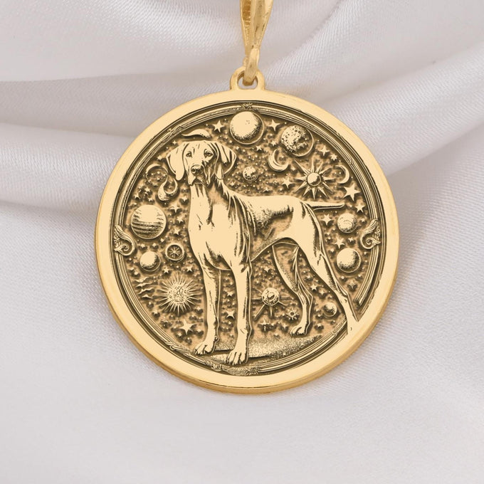 Doberman Dog Cosmic Medallion Necklace Necklaces 14K 14K Gold Plated dog silhouette pendant with celestial motifs necklace