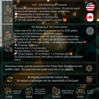 Apollo Pendant Necklace: 14K Gold Personalized God of Music Medallion - View 9